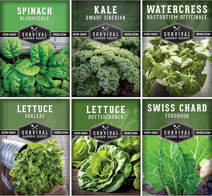 Hydroponics Vegetable Seed Collection for Planting - Watercress, Spinach, Siberian Kale, Swiss Chard, Buttercrunch, Oakleaf Lettuce Varieties to Grow Indoors Non-GMO Heirloom Survival Garden Seeds