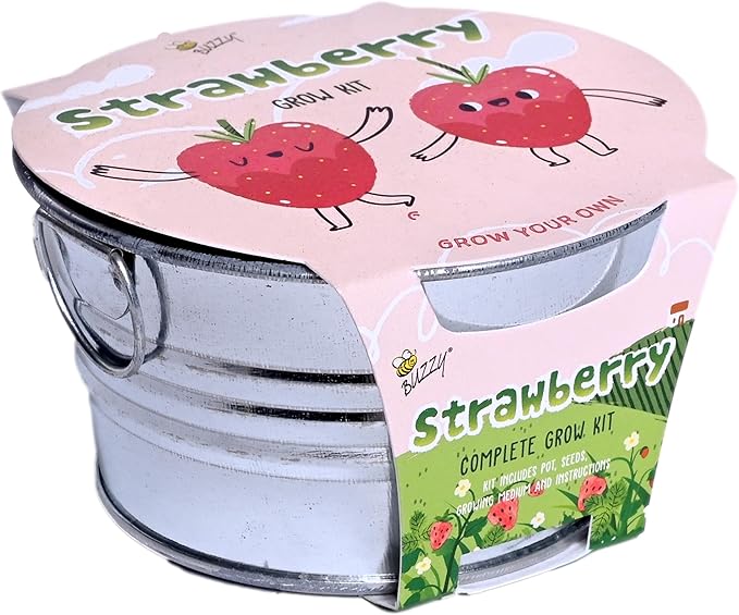 BUZZY Seeds Mini Basin Gardening Kit with Strawberry Seeds for Planting, Flowering Fruit Starter Set, Indoor Plants, DIY Plant Project, Party Favor