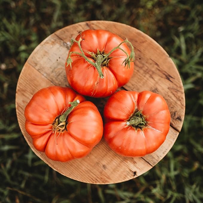 Andrew Rahart's Jumbo Red Heirloom Tomato - 50 Seeds - Rare Heirloom & Open-Pollinated Variety, USA-Grown, Non-GMO Vegetable Seeds for Planting Outdoors in The Home Garden, Thresh Seed Company