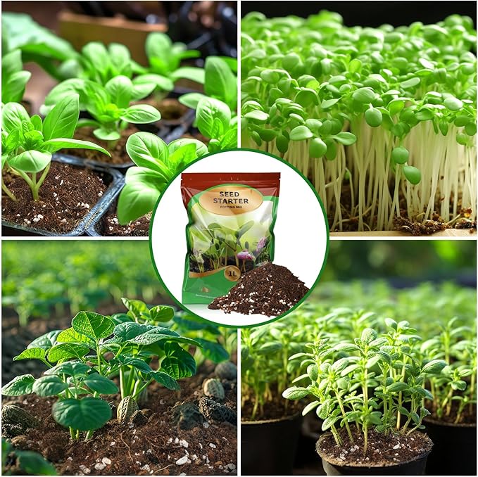 Seed Starter Potting Soil Mix 1qt, Seed Starting Mix for Germination and Growth, Loamy Compost Well-Drainaged Soil Fit for Vegetable, Flower, houseplant