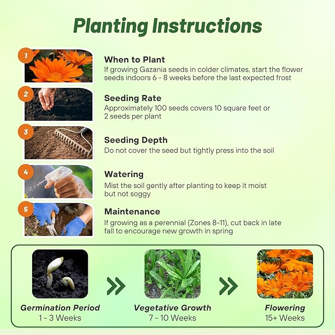 Outsidepride New Day Orange Gazania Seeds for Planting – 50 Pcs Perennial, Low-Maintenance, Drought-Tolerant Ground Cover Seeds for Vibrant Summer & Fall Flowers, Great for Outdoor Gardens
