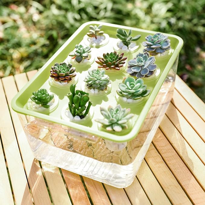 Hydroponic Planter Box, 12-Hole Transparent Aquaponics Growing System with Green Lid for Home, Balcony, or Desktop Decor.