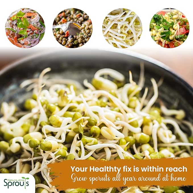 Nature Jims Sprouts Mung Bean Sprouting Seeds – Non-GMO Mung Beans for Growing Nutritious, Fresh Sprouts – Packed with Vitamins, Minerals & Fiber – Premium Resealable Bag for Longer Freshness – 16 Oz