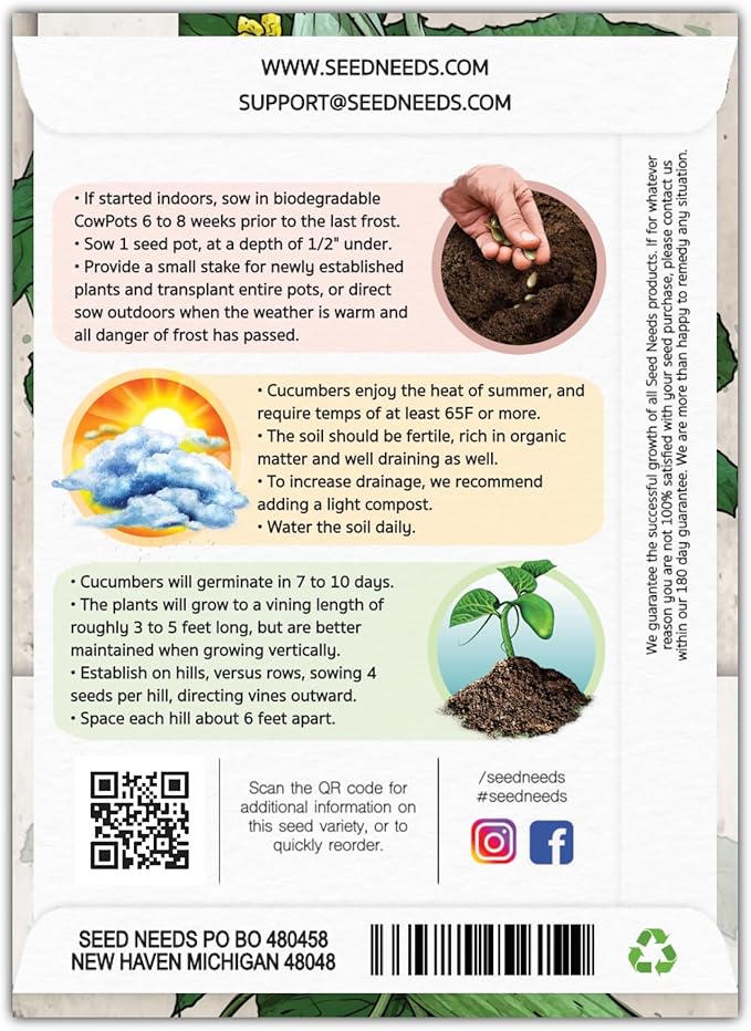 Seed Needs Cucumber Seeds for Planting Armenian Yard Long Cucumbers - Heirloom Non-GMO & Untreated - Snake Melon/Serpent Cucumber to Plant a Home Grown Outdoor Vegetable Garden (5 Packs)