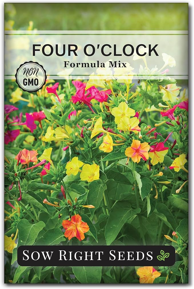 Sow Right Seeds - Four O’Clock Formula Mix Flower Seeds for Planting - Annual Plant with Sweet Essence - Non-GMO Heirloom Packet with Instructions to Plant a Home Garden - Marvel of Peru (1)