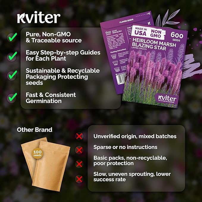 KVITER 600 Marsh Blazing Star Seeds for Planting (Liatris Spicata) – Gayfeather Dense Meadow Blazing Star Seed Packet – Heirloom Seed, Perennial Wildflower Seeds Bulk for Garden, Containers, Outdoors