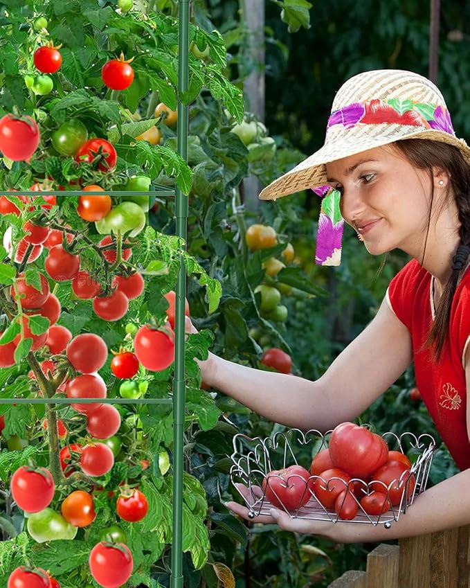 3 Pack Tomato Cages for Garden, 51in*13in Adjustable Tomatoes Plant Stakes Support Cages Trellis, Garden Trellis for Vegetable Flowers Fruits Climbing Plants- 20 Binding Wires Included