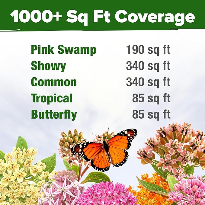 HOME GROWN Milkweed Flower Seeds - 500+ Heirloom Perennial Wildflower Seeds (5 Individual Varieties) Supports Monarch Habitat, Grows in Zones 310 (Asclepias syriaca)