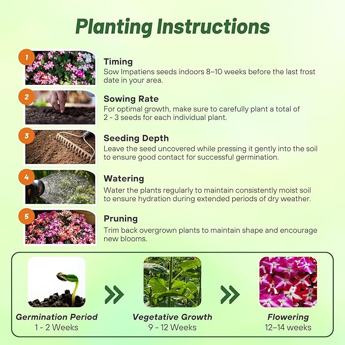 Outsidepride Accent Star Mix Impatiens Flower Seeds - 200 Pcs Annual, Compact & Pollinator Friendly, Impatiens Seeds for Planting w/Vibrant, Abundant Blooms for Shade Gardens & Container Displays