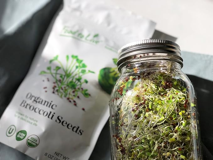 Food to Live Organic Broccoli Seeds for Sprouting, 2 Ounces – Non-GMO, Vegan, Kosher, Sirtfood, Bulk. Rich in Sulforaphane, Vitamin C. Grow Sprouts, Microgreens for Salads, and Sandwiches