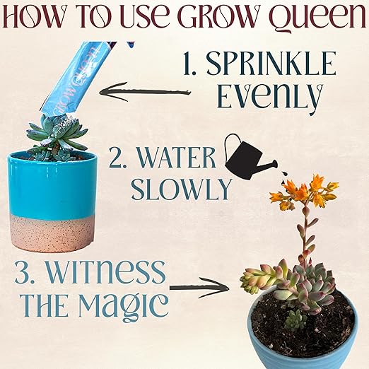 Grow Queen Complete Organic Cactus & Succulent Fertilizer, Succulent Plant Food & Cactus Food, Bonsai, Snake Plant Fertilizer, 7 Servings Fast & Slow Release Feeds up to 28 Plants 8 Months