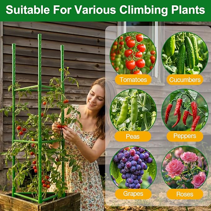 WAENLIR Plant Cages & Supports (51inch 3Pack)
