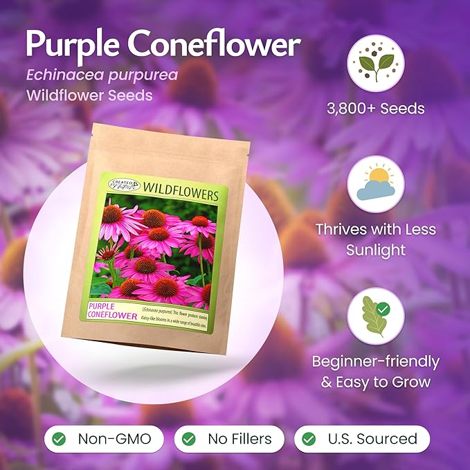 Created by Nature Purple Coneflower Seeds, 3,800 Perennial Flower Seeds, Deer-Resistant Perennial Wildflower Seeds