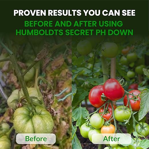 Humboldts Secret pH Down for Plants | Liquid pH Adjuster and Balancer for Soil Coco Hydroponics | Concentrated Phosphoric Acid Solution Supporting Nutrient Uptake and Strong Growth | 1 Gallon