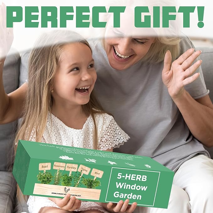 Indoor Herb Garden Starter Kit, Growing into Basil, Parsley, Rosemary, Thyme, Mint, Including A Wooden Box, Soil Discs & Planters with A Gift Box, Ideal Gifts for Women