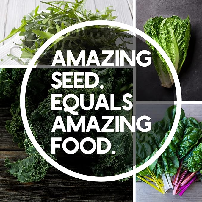 7 Leafy Power Green Seed Varieties for Planting – Non-GMO Heirloom Collection – Kale, Mixed Lettuce, Butterhead, Leaf Lettuce, Spinach, Arugula & Swiss Chard