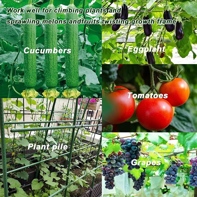 20 Pcs Garden Pile Connecting Stakes Clip, Plant Grid Clip, Connector, Galvanized Steel Clip Trellis Clips Plant Climbing Frame Buckles for Tomato Cucumber Eggplant Vegetable（16mm/0.63In）