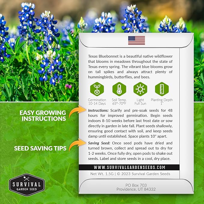 Texas Bluebonnet Seeds for Planting - 2 Packets with Instructions to Plant & Grow Lupinus Texenisis in Your Home Wildflower Garden - Non-GMO Heirloom Variety- Survival Garden Seeds - Drought Resistant