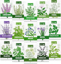 Groundio 15 Herb Seeds Variety Pack | 5,500+ Non-GMO Heirloom Seeds for Planting Indoor & Outdoor | Culinary Herb Collection | Grow Your Own Herb Garden | Gardening Gift
