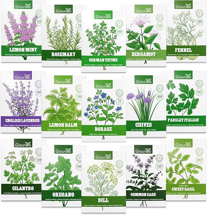 Groundio 15 Herb Seeds Variety Pack | 5,500+ Non-GMO Heirloom Seeds for Planting Indoor & Outdoor | Culinary Herb Collection | Grow Your Own Herb Garden | Gardening Gift