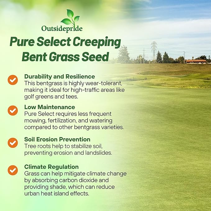 Outsidepride Pure Select Creeping Bent Grass Seed - 2 lbs. Premium Turf Grass for Putting Greens, Tees & Fairways, Dense & Fine-Textured Lawn Seed for Smooth, Professional-Quality Golf Greens & Lawns