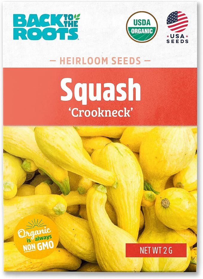 Back to The Roots 100% Organic Seed Packet - Squash 'Crookneck' 2g