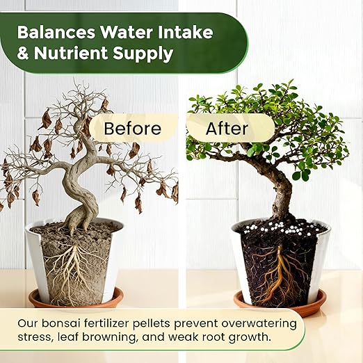 Leaves and Soul Bonsai Fertilizer Pellets |18-6-8 Slow Release Pellets for Seedlings, Mature Plants, All Tree Types | Multi-Purpose Blend & Gardening Supplies, No Fillers | 5.2 oz Resealable Packaging
