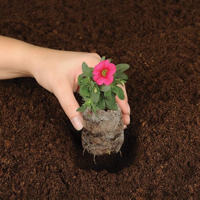 Jiffy 50mm Self-Watering Seed Starting Tomato & Vegetable Greenhouse Kit with 14 Plant-Based Expanding Peat Pellets & Water-Wicking Mat