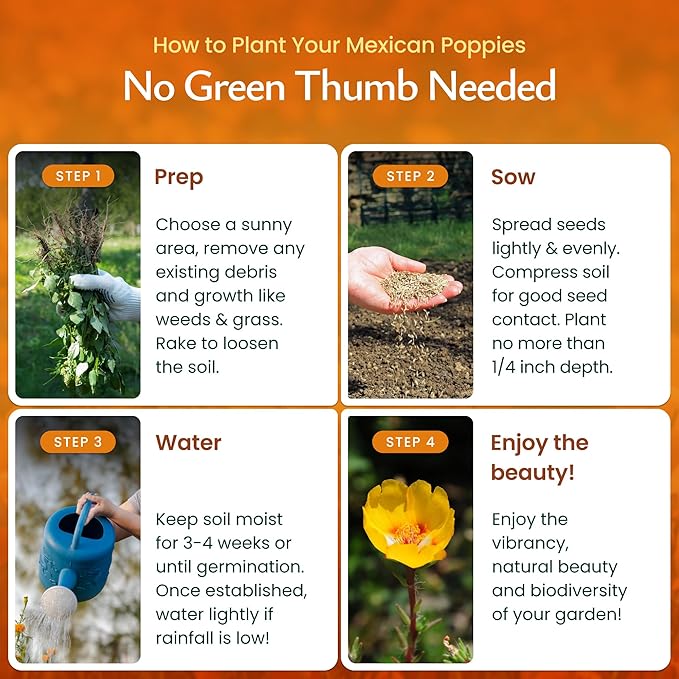 Created By Nature Mexican Poppy Seeds, 1,620 Annual Wildflower Seeds