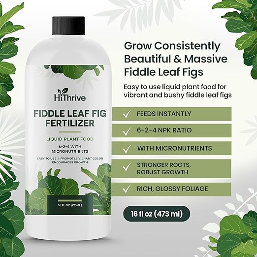 16oz Fiddle Leaf Fig Plant Food - Makes 96 Gallons of Fertilizer, Liquid Houseplant Fertilizer for Ficus Plants, Ideal Fiddle Leaf Fertilizer, 6-2-4 NPK Ficus Plant Food for Strong, Healthy Growth