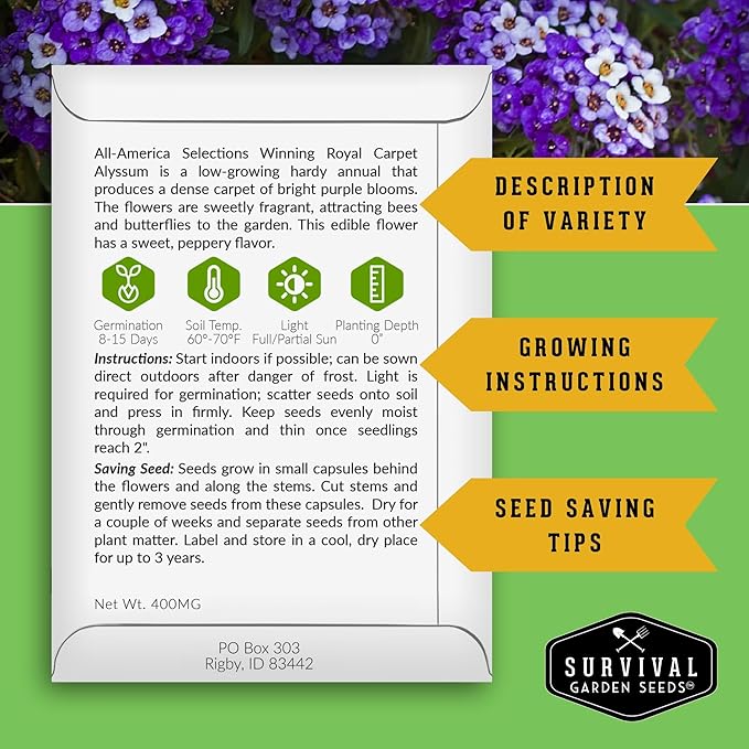 Alyssum Seeds for Planting - Sweet Royal Carpet Purple Alyssum - Fragrant Perennial Flower & Ground Cover - Heirloom Non-GMO - Survival Garden Seeds (2 Packs)