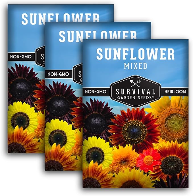 Mixed Sunflower Seeds for Planting | Colorful Blend of Heirloom Varieties for Cut Flowers & Pollinators – Heirloom Non-GMO – Survival Garden Seeds (3 Packs)