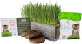 Organic Cat Grass Seeds Kit - Decorative Reclaimed Barnwood Style Organic Wheatgrass Seeds Planter - Aged Brown - Hairball Remedy for Cats, Healthy Pet Grass Supplement & Wheatgrass Growing Kit
