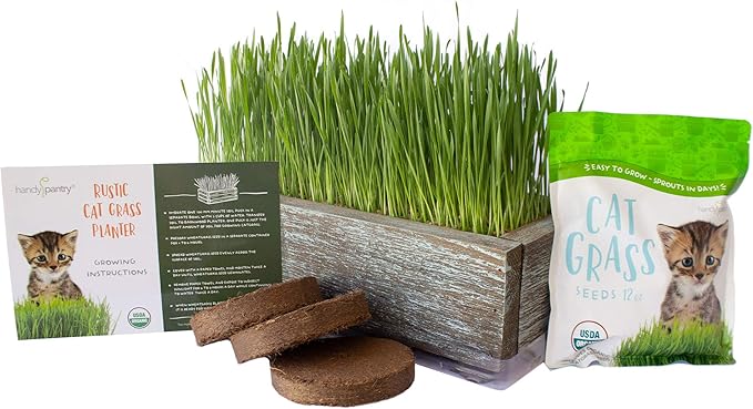 Organic Cat Grass Seeds Kit - Decorative Reclaimed Barnwood Style Organic Wheatgrass Seeds Planter - Aged Brown - Hairball Remedy for Cats, Healthy Pet Grass Supplement & Wheatgrass Growing Kit