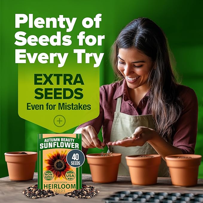HOME GROWN Autumn Beauty Sunflower Seeds to Plant 40 Heirloom Non-GMO Sunflower Seeds for Planting Blooms for Pollinator Support, and Ornamental Flower Garden (Helianthus annuus)