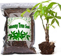Organic Money Tree Soil Mix 1qt, Indoor Plants Potting Mix for All Potted Money Tree, Grow Healthy houseplants Indoors
