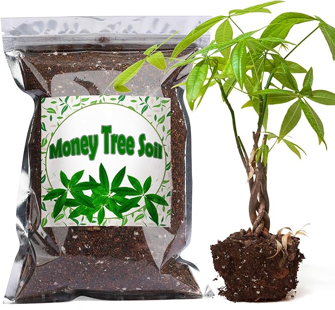 Organic Money Tree Soil Mix 1qt, Indoor Plants Potting Mix for All Potted Money Tree, Grow Healthy houseplants Indoors