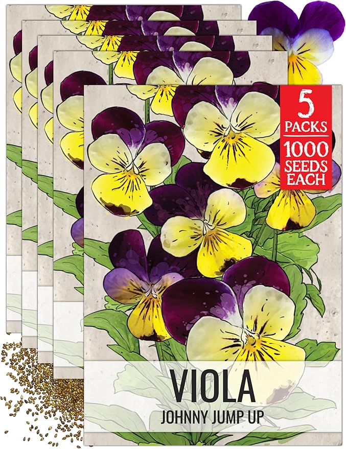 Seed Needs Johnny Jump Up Seeds for Planting Helen Mount Violas - Heirloom & Open Pollinated Flower Seed to Plant an Outdoor Flower Garden - Perfect for Borders, Pots & Containers