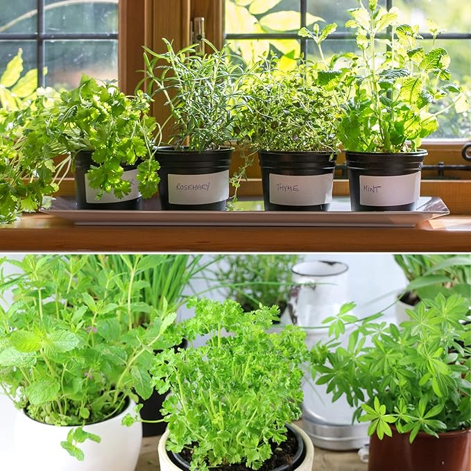 Organic Potting Soil Mix for All Indoor & Outdoor Small Containers Including Herbs, Vegetables, and Flowers 2 qt