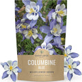 Columbine Blue – Large 1 Ounce Seed Packet – 24,000 Flower Seeds for Planting – Aquilegia caerulea
