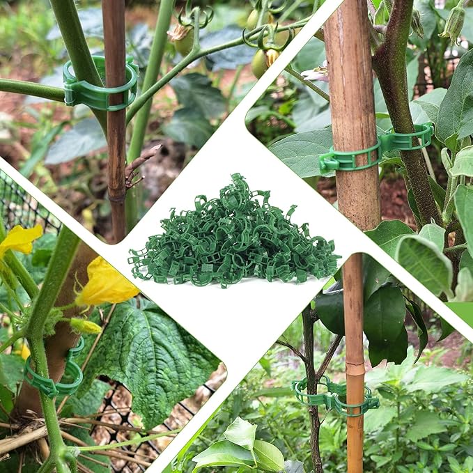 Tomato Clips, Plant Support Clip for String Trellis Climbing Plants Garden Vegetables -100PCS/Green