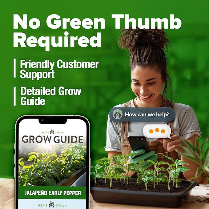 HOME GROWN Jalapeno Pepper Seeds – 258 Heirloom Seeds (Capsicum annuum) – High Germination, Easy to Grow, Early Harvest Hot Peppers