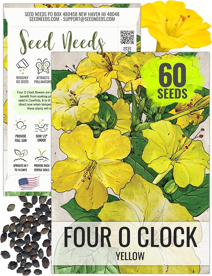 Seed Needs, Yellow Four O' Clock Seeds - 60 Heirloom Seeds for Planting Mirabilis Jalapa - Tender Perennial Flowers to Attract Butterflies, Hummingbirds & Other Pollinators (1 Pack)