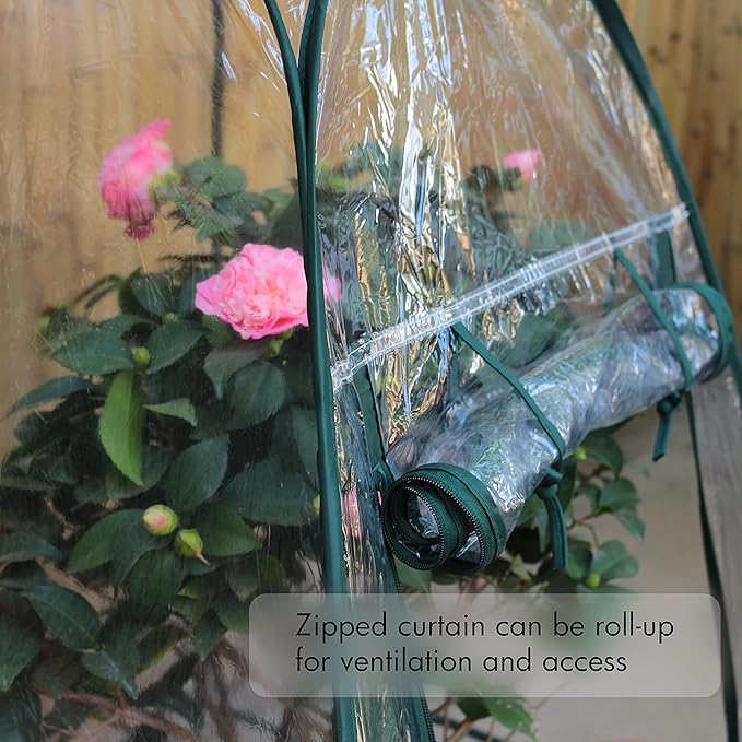 Gardzen 2-Pack 27"x27"x31" Pop up Grow Greenhouse Small Greenhouse, Portable Plant Flowers Mini Green House Cover for Outdoor & Indoor Use