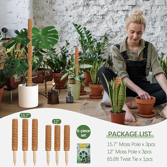 Joyhalo Moss Pole Monstera Plant Support, 6 Pcs 15.7 and 12 Inch Moss Stick for Potted Plants, Plant Pole with 65 Feet Garden Twist Tie
