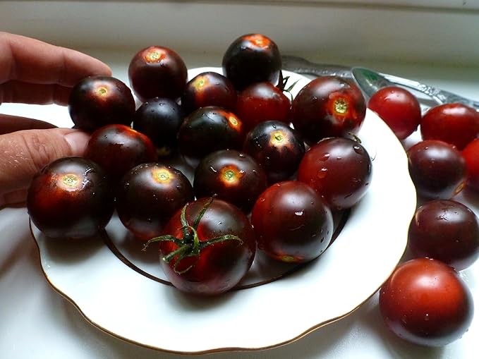 Seeds Black Cherry Tomato - Heirloom Vegetable - GMO Free