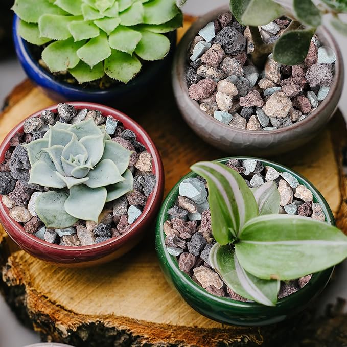 3lbs Mix Horticultural Lava Rocks for Plants, 3/8 Inch Potting Soil Amendment for Succulents, Cacti, Bonsai, Decorative Gravel Plant Drainage Volcanic for Terrarium, Top Dressing