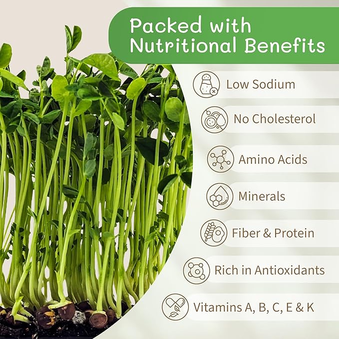 The Sprout House Speckled Pea Seed - Organic Speckled Pea, Non-GMO, High Germination Sprouting Seeds for Nutritious Pea Shoots, Resealable Bag for Freshness, Perfect for Smoothies & Salads, 1LB