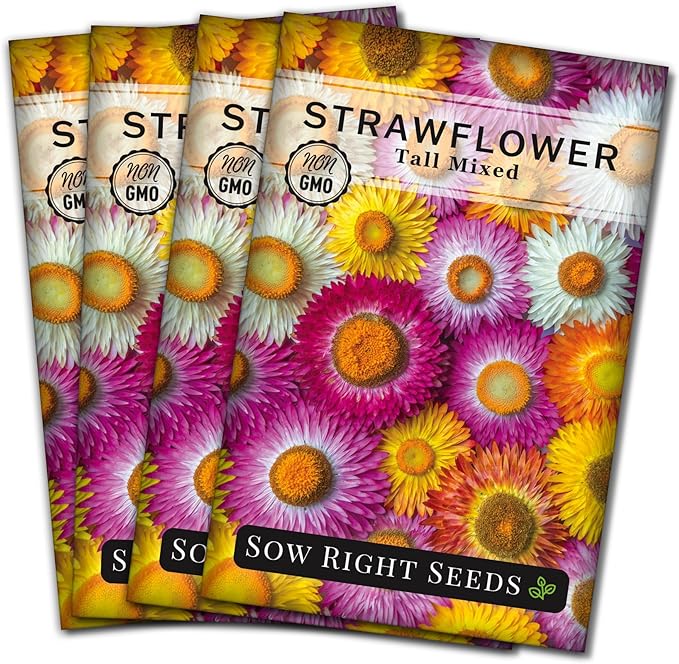 Sow Right Seeds - Tall Mixed Strawflower Seeds - Non-GMO Heirloom Packet with Instructions to Grow - Beautiful to Plant in Your Flower Garden - Cut Flower Favorite - Wonderful Gardening Gift (4)