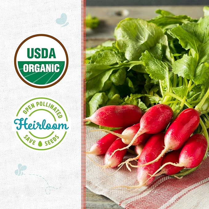 Back to The Roots 100% Organic Seed Packet - Radish 'French Breakfast' 1.4g